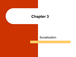 Chapter 3 Socialization