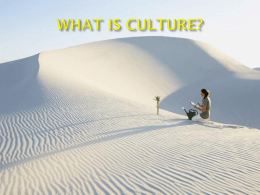 Culture, Stereotypes and Prejudices - Salto
