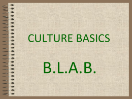 Culture Basics Review