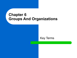 CHAPTER 6, GROUPS AND ORGANIZATIONS