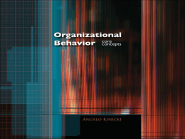 Organizational Behavior 1e