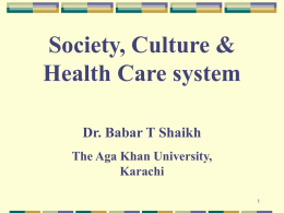 Society, Culture & Health Care system II