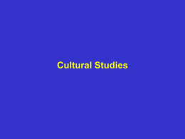 CHAPTER 20 Cultural Studies