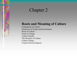 Structure of Culture Powerpoint