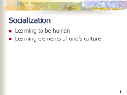 Socialization and Social Institutions