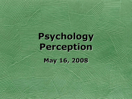 Psychology Perception