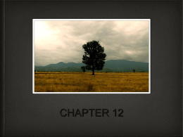 CHAPTER 12