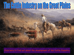 The Cattle Industry ppt.