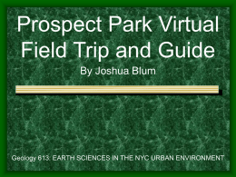 Prospect Park Virtual Field Trip and Guide