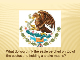 Mexican Flag Symbolsx