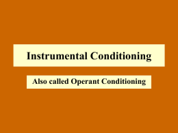 Instrumental Conditioning - Memorial University of