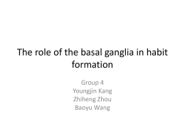 The role of the basal ganglia in habit formation