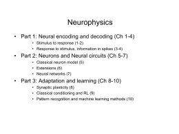 Neural Computation - SNN Adaptive Intelligence