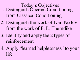 Today’s Objectives - Windsor C