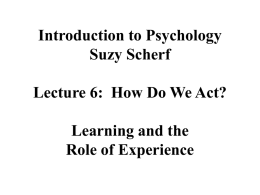 suzi-learning