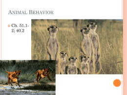 Animal Behavior - Lake Stevens High School