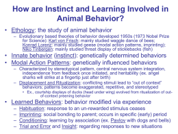 How are Instinct and Learning Involved in Animal Behavior?