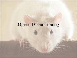 Operant versus classical conditioning: Law of Effect