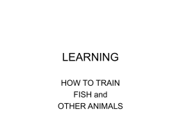LEARNING