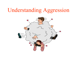 A Cumulative Model for Understanding Aggression