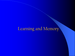 learning and memory - University of San Diego Home Pages