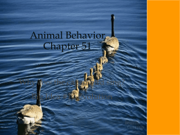 To what extent can behavior have evolved?