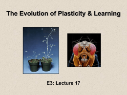 E3_Plasticity_2011 - MicrobialEvolution.org