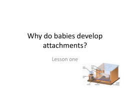 Why do babies develop attachments