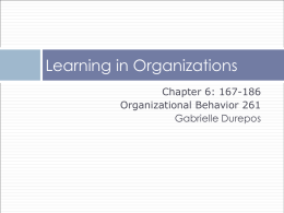 Macro Organizational Behavior 2384