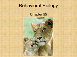 Chap. 55 Animal Behavior 2013