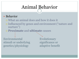Animal Behavior Notes - Twanow