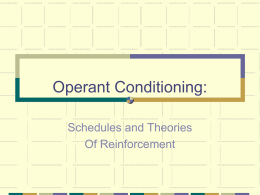 Schedules of Reinforcement Powerpoint