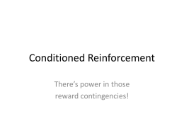 Conditioned Reinforcement