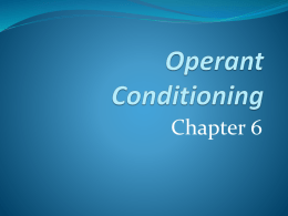 b. Operant Conditioningx