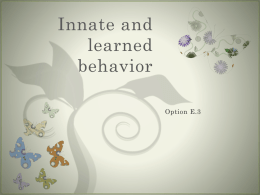 Innate and learned behavior