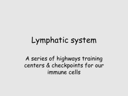 Lymphatic system - Seattle Central College
