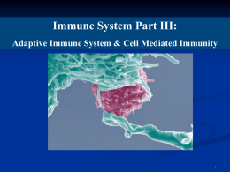 Adaptive Immune System