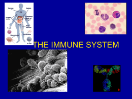 the immune system - World of Teaching