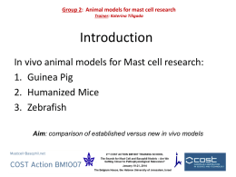 Group_2_Presentation - Mast Cell