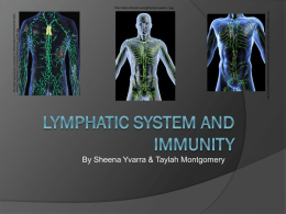 Lymphatic System and immunity