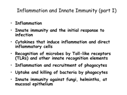 Lecture on Inflammation and Innate Immunity
