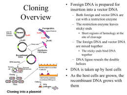 Cloning Overview