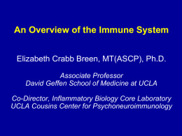 January 6, 2014 - Immunology Overview