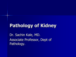 MGM Medical College Lecture Kidney Part 1 11/06/13