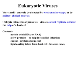 Eukaryotic Viruses - Mississippi University for Women