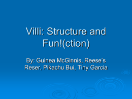 Villi: Structure and Fun!(ction)