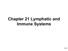 Chapter 21 The Lymphatic System