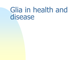 Glia in health and disease