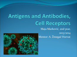 Antigens and Antibodies, Cell Receptors