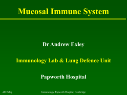 Common Variable Immunodeficiency